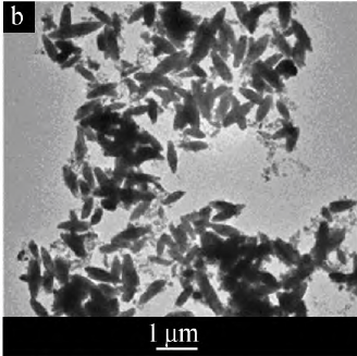 添加六偏磷酸鈉制備的紡錘形碳酸鈣SEM圖