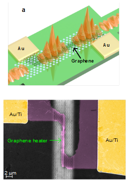 慢光增強的石墨烯熱電極結(jié)構(gòu)示意圖與掃描電子顯微鏡圖