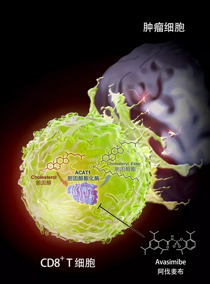 2016年度中國科學(xué)十大進(jìn)展