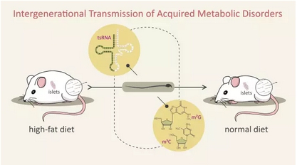 2016年度中國科學(xué)十大進(jìn)展