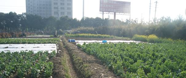 密友集團(tuán)董事長(zhǎng)吳建明為保障員工用水健康引進(jìn)VWA細(xì)胞功能水