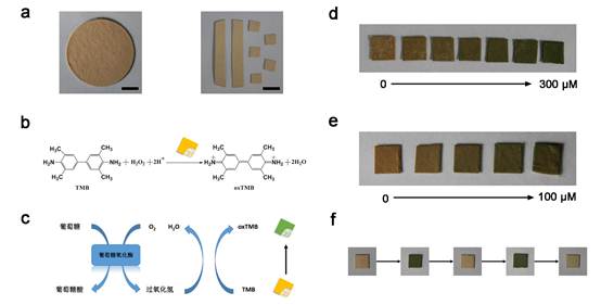 中科院研制出新型羥基磷灰石超長(zhǎng)納米線基快速檢測(cè)試紙