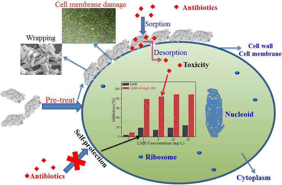 中科院在氧化石墨烯納米材料的自然環(huán)境行為研究方面取得進(jìn)展