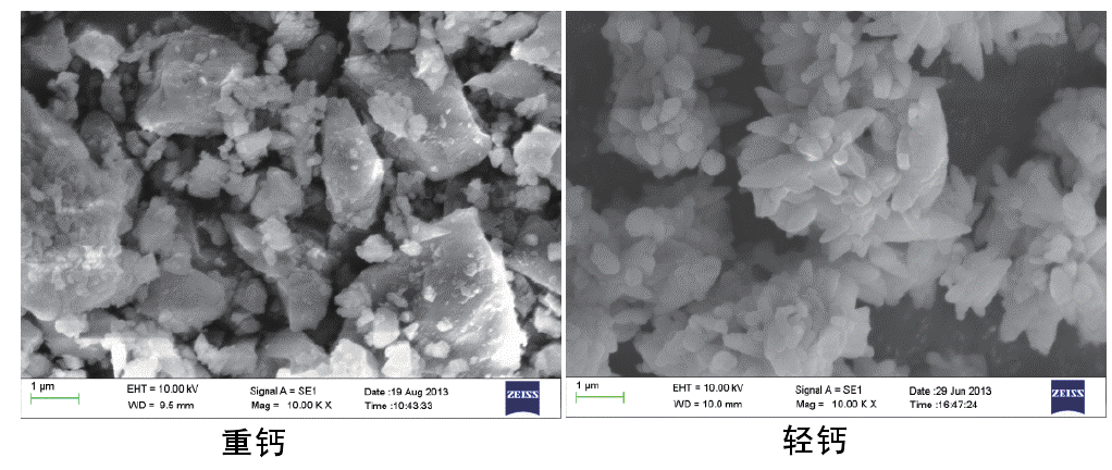 圖2 重質(zhì)碳酸鈣和輕質(zhì)碳酸鈣掃描電鏡照片(10000倍)