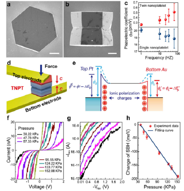 圖一 ZnO雙納米片的表征及性能測試