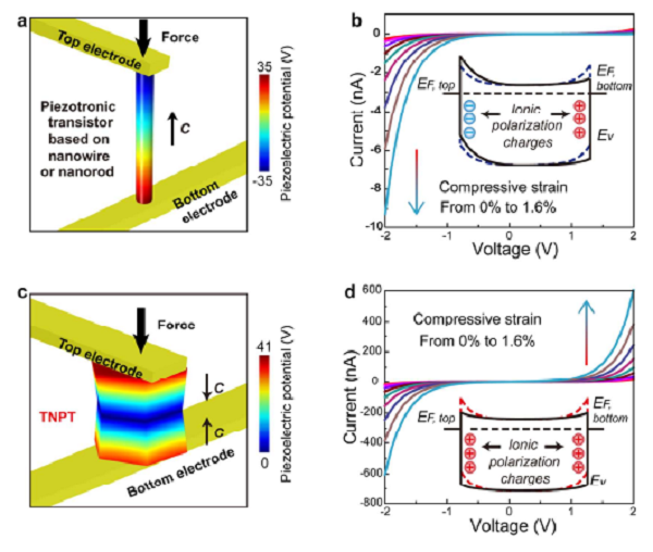 圖三 TNPT的三維有限元模擬計(jì)算
