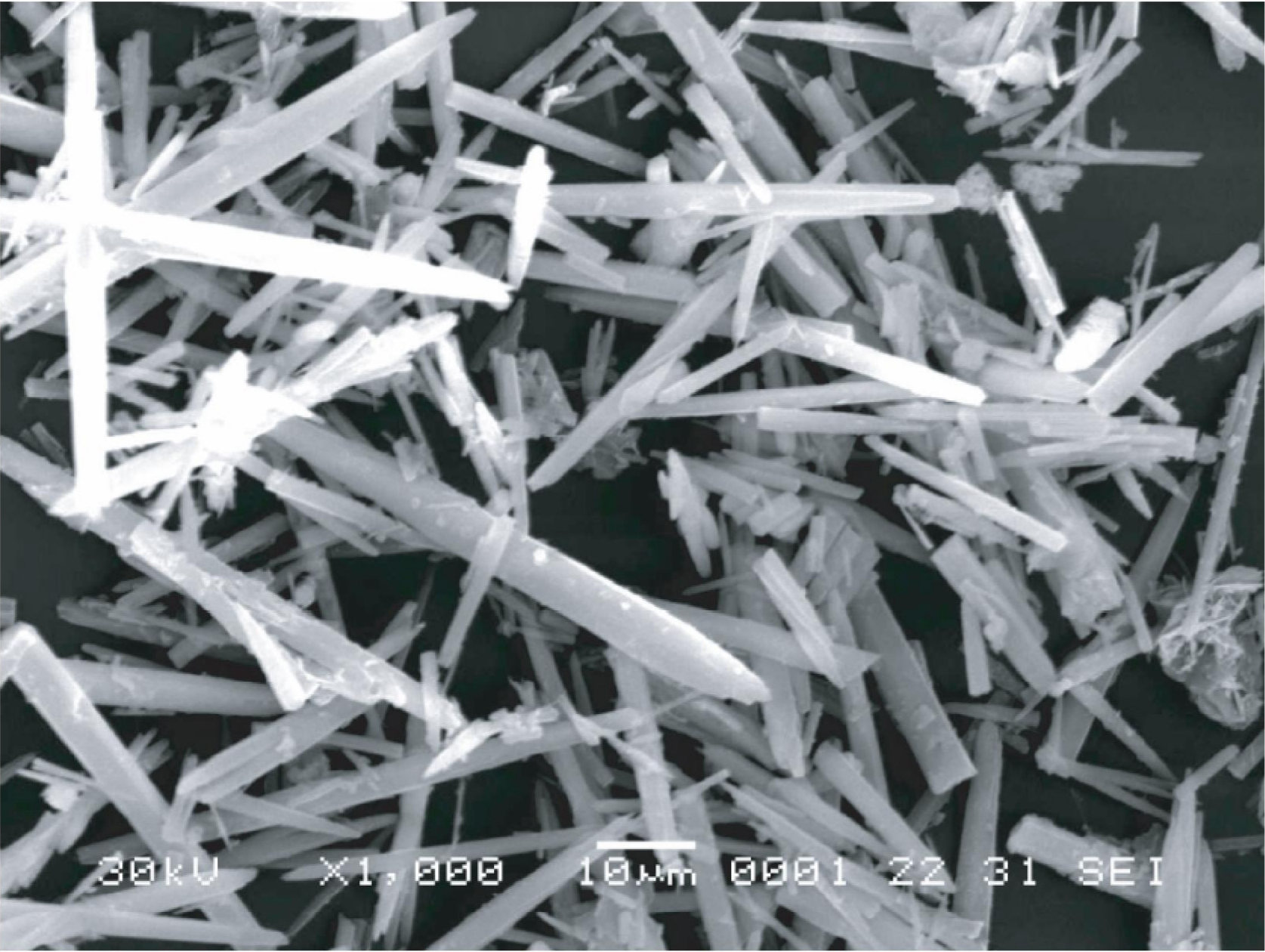 碳酸鈣晶須顯微照片