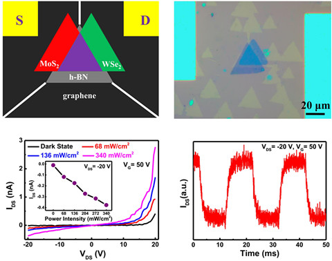 圖2 Graphene/h-BN平面異質(zhì)結(jié)上的WSe2/MoS2光電器件應用 