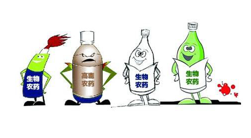 針狀超微細(xì)硅藻土因其具有較強(qiáng)的吸著性，極易粘附于害蟲(chóng)體表，銳利的針狀邊緣刺人害蟲(chóng)體內(nèi)，吸收害蟲(chóng)體內(nèi)大量的水分，達(dá)到除害蟲(chóng)的效果。