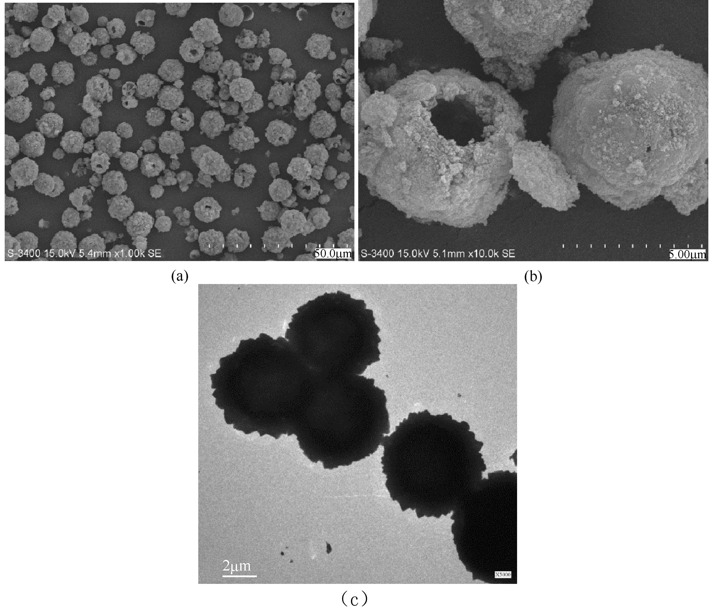 碳酸鈣空心微球的SEM圖