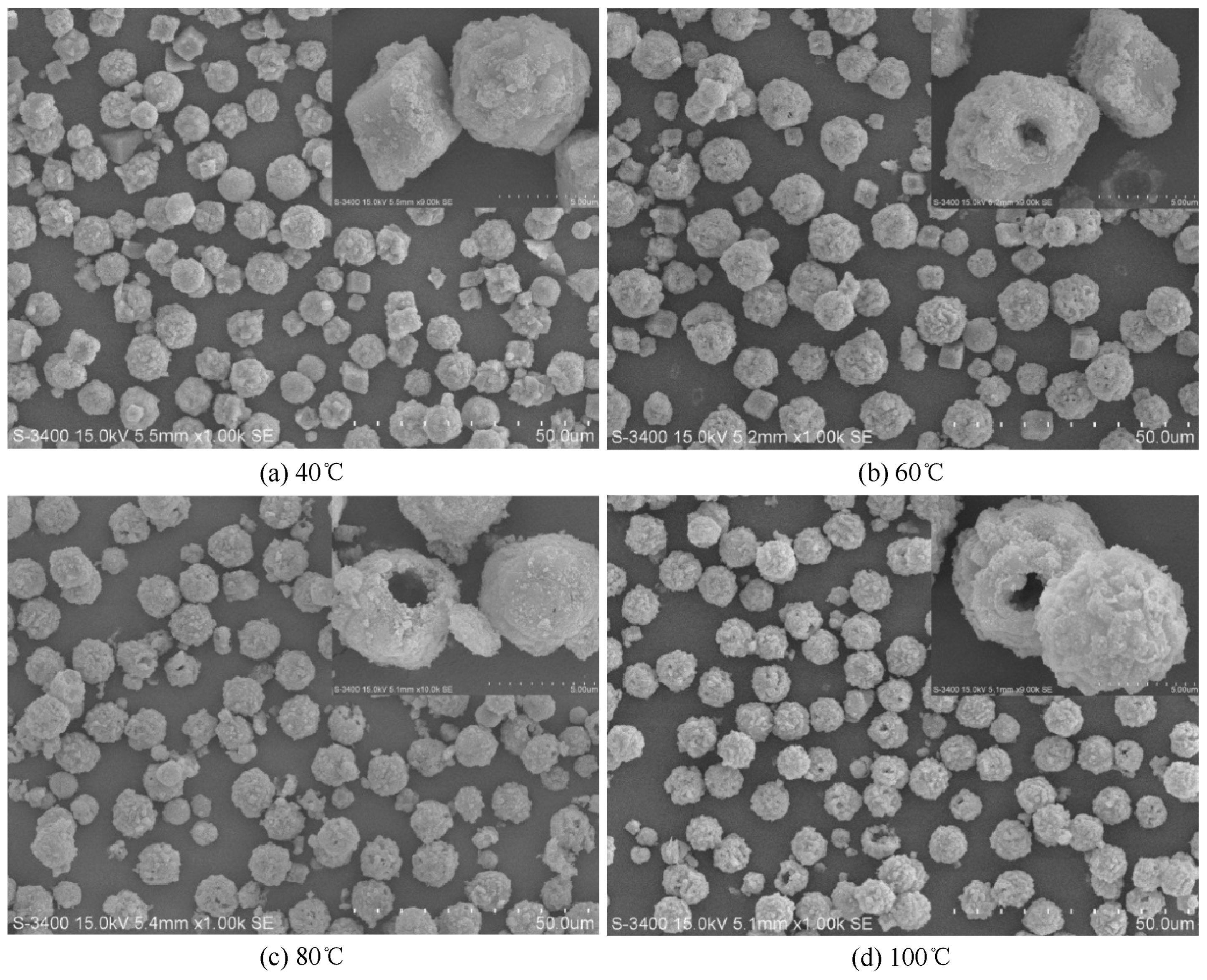 不同反應(yīng)溫度下所得碳酸鈣的SEM圖