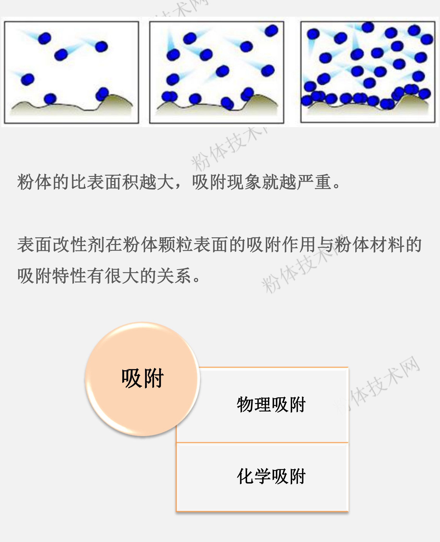 什么是粉體的表面吸附特性？