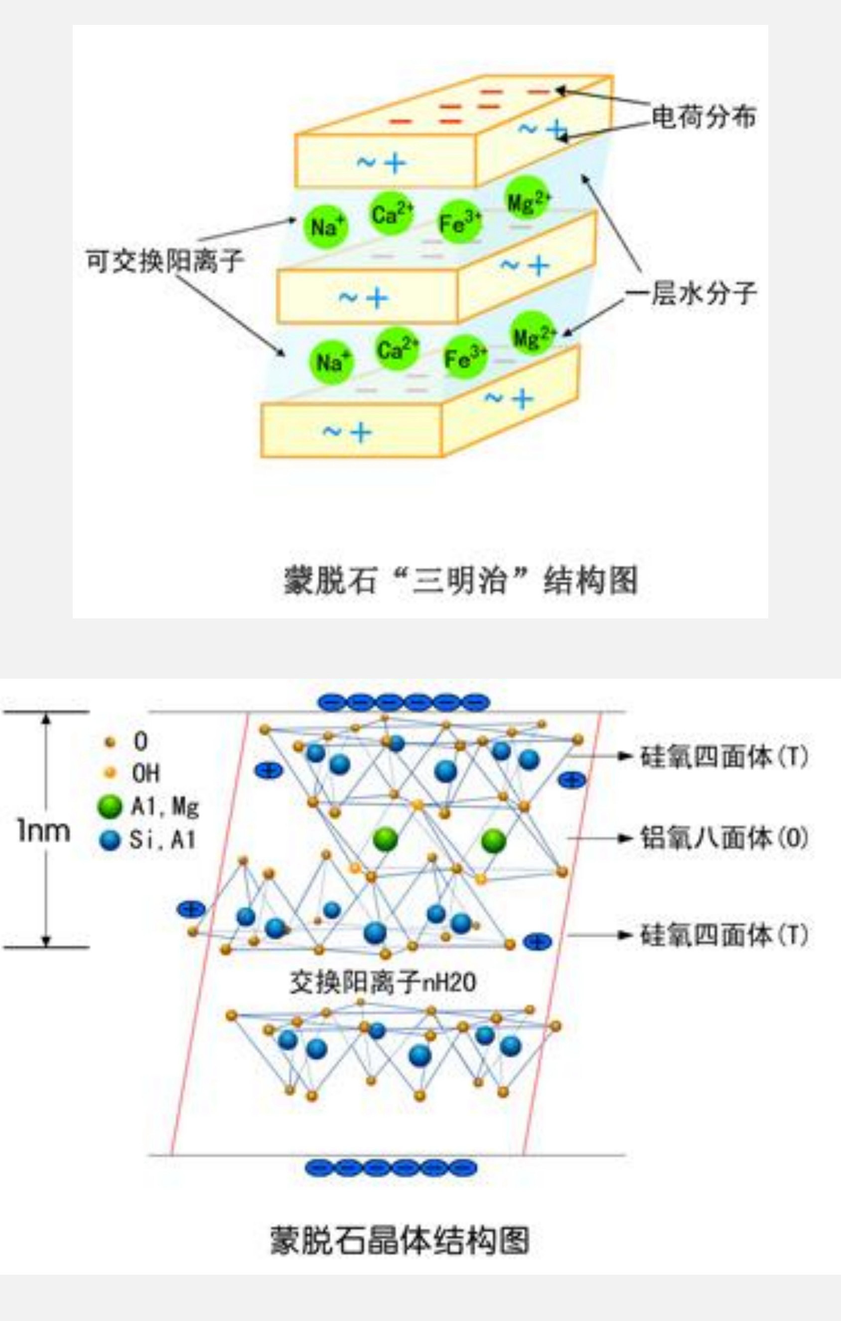 離子交換是層狀結(jié)構(gòu)黏土礦物的重要特征，離子交換吸附具有選擇性。