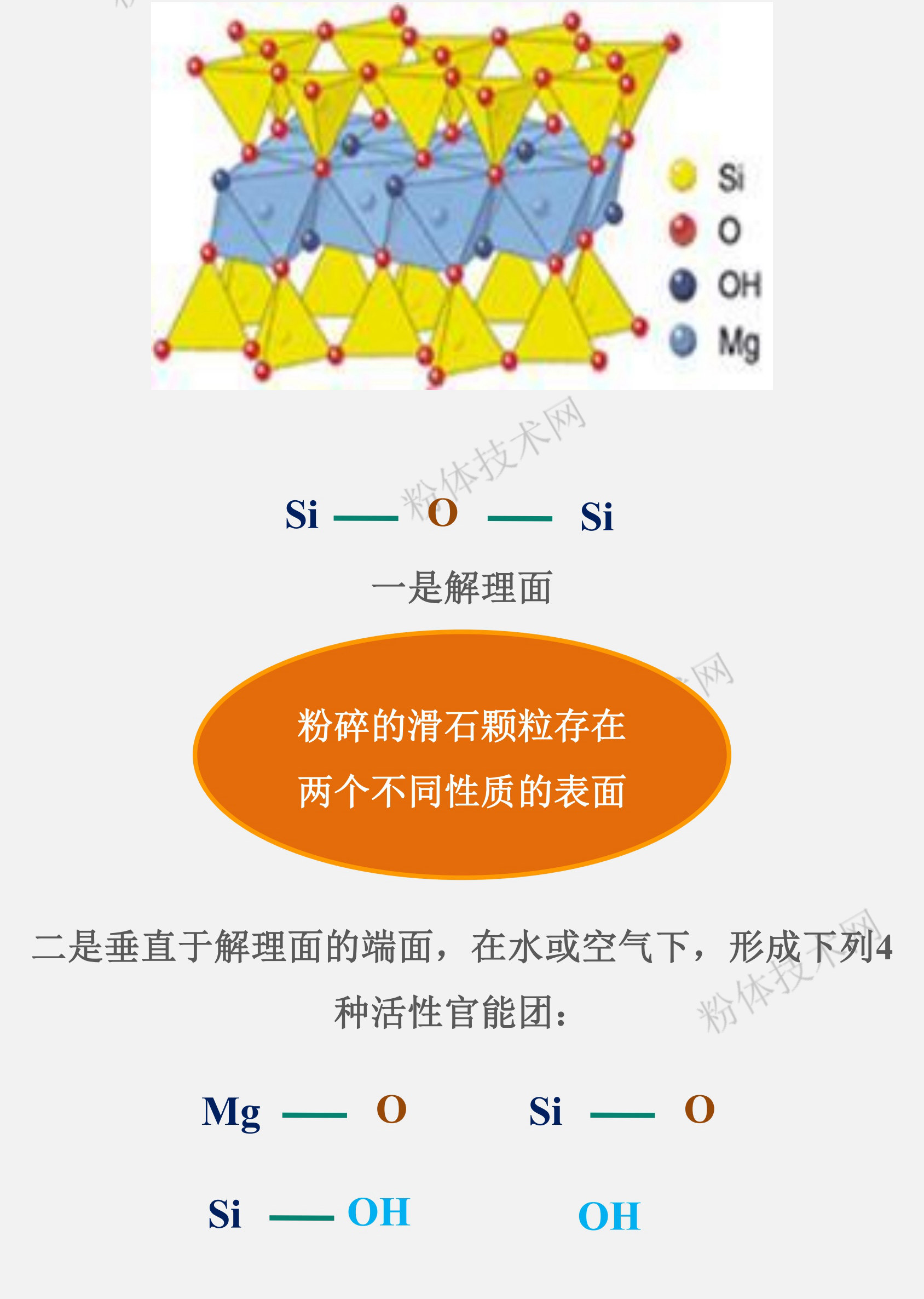 滑石的表面官能團(tuán)