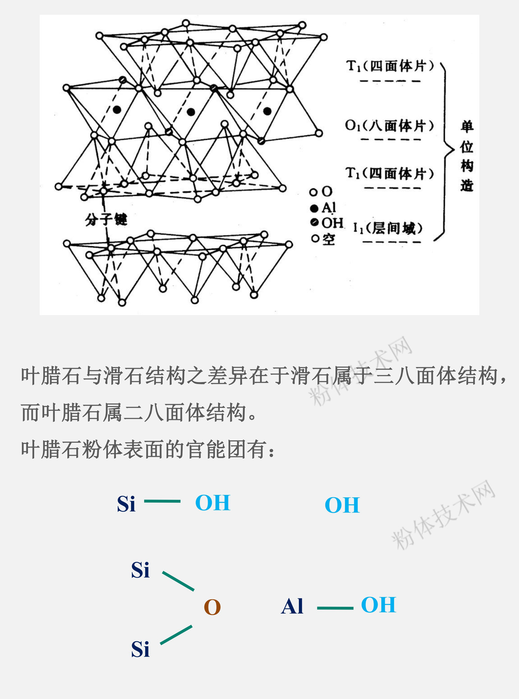 葉臘石的表面官能團(tuán)