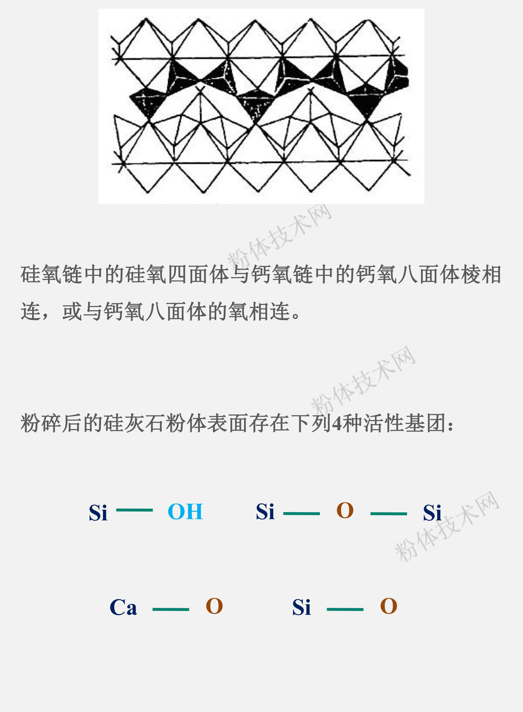 硅灰石的表面官能團(tuán)