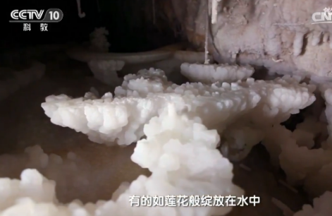 地理中國：碳酸鈣遇到稀鹽酸居然不冒泡？