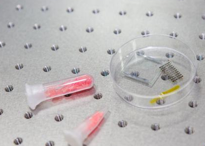 最新發(fā)現(xiàn)的分子壓電材料意味著中國在該領(lǐng)域走上了世界前列。