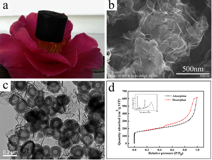 圖2 石墨烯交聯(lián)的碳空心球氣凝膠：（a）花瓣上的氣凝膠；(b)氣凝膠的掃描電子顯微鏡照片；(c)氣凝膠的透射電子顯微鏡照片；（d）氣凝膠的氮?dú)馕摳角€。