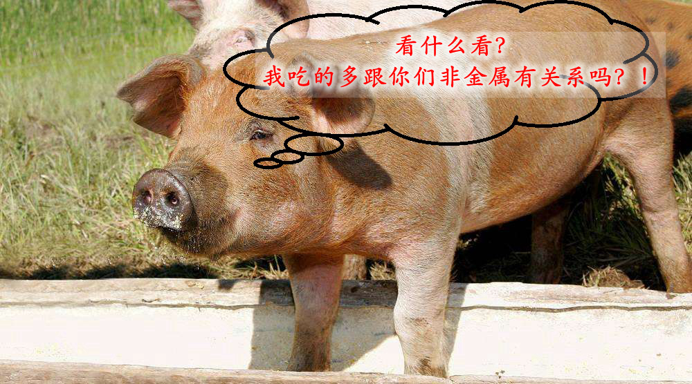 周巖民教授：高價值非金屬礦在飼料中的技術(shù)要求及產(chǎn)業(yè)現(xiàn)狀！ 