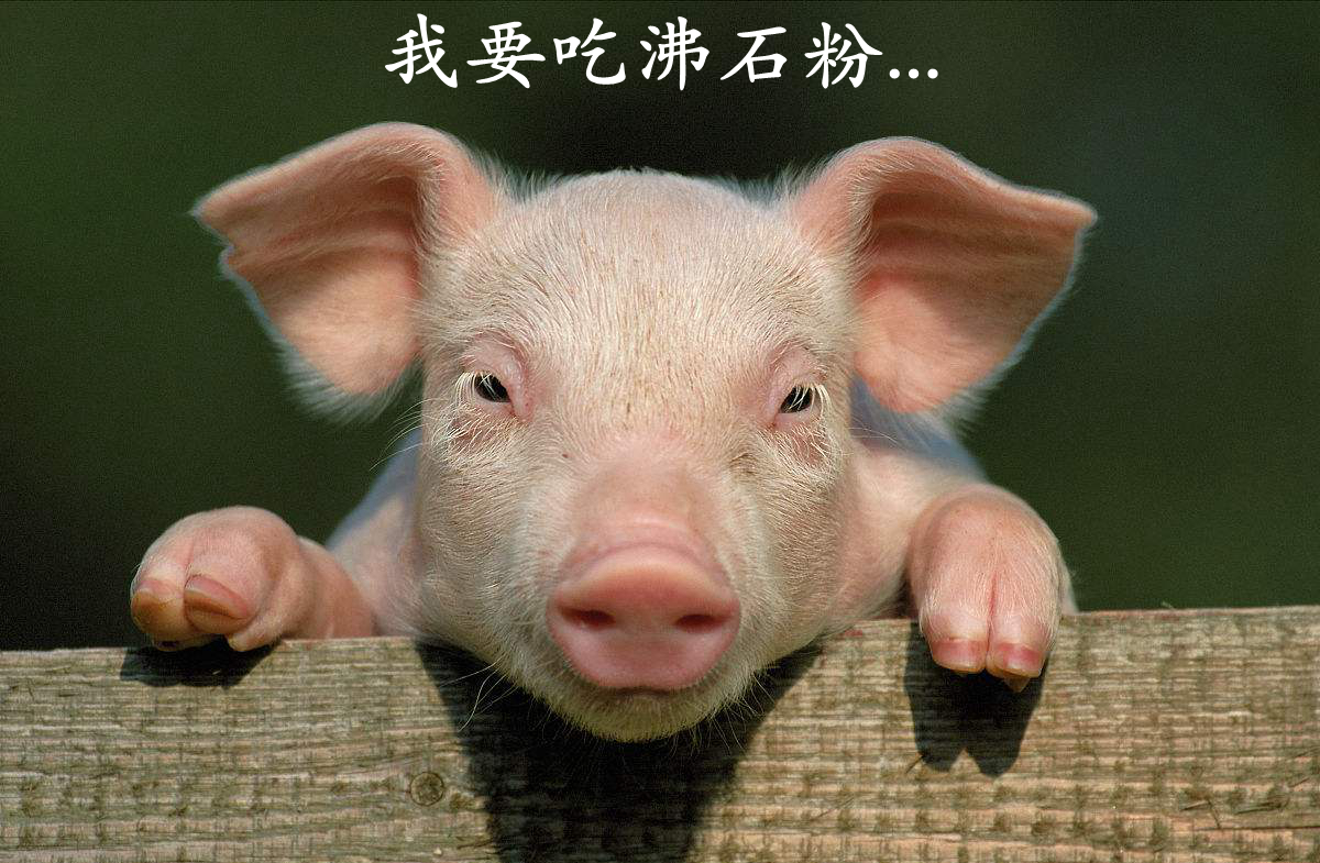 周巖民教授：高價值非金屬礦在飼料中的技術(shù)要求及產(chǎn)業(yè)現(xiàn)狀！ 