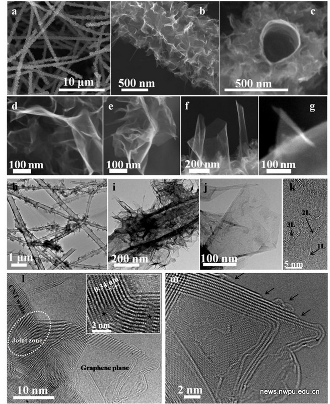 西北工業(yè)大學在石墨烯輕質電磁屏蔽材料研究方面取得重要進展