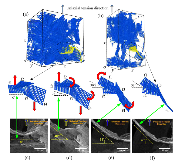 北理工為石墨烯泡沫（碳海綿）建立介觀理論模型