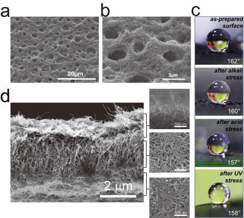 圖1.（a）、（b）多功能智能涂層表面形貌；（c）水滴（~3mL）在未處理、堿、酸、紫外處理之后的智能涂層表面的光學(xué)照片；（d）智能涂層截面的微觀形貌