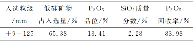 光電選礦技術(shù)在磷礦中的應用
