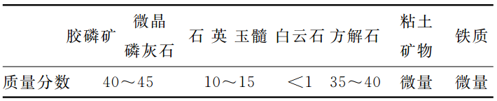 光電選礦技術(shù)在磷礦中的應用