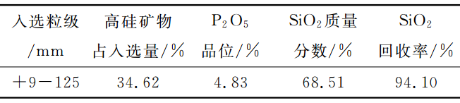 光電選礦技術(shù)在磷礦中的應用