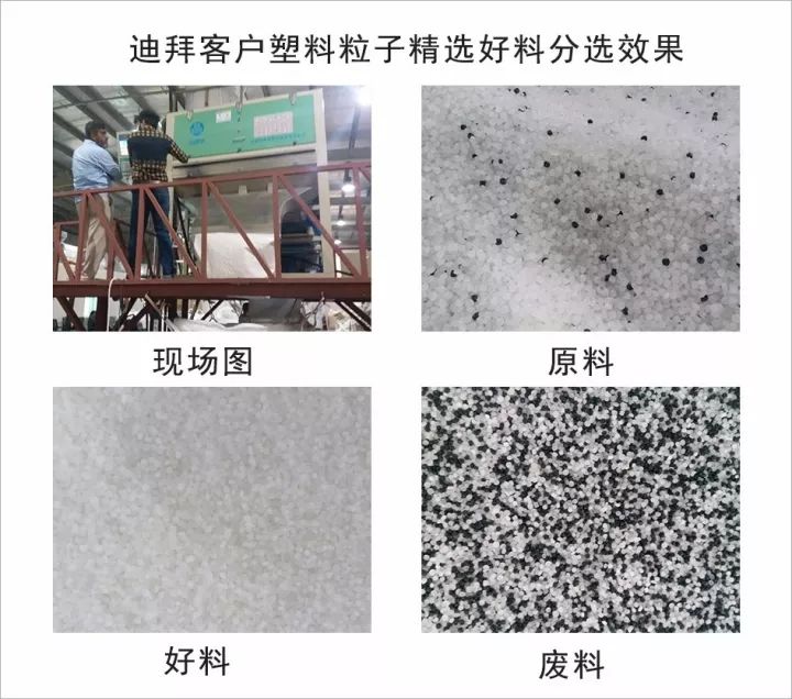 安晶龍色選機遠銷中東，落地迪拜