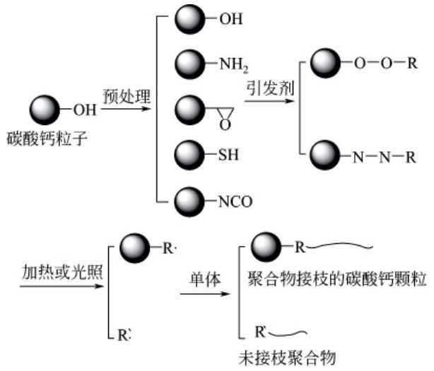 碳酸鈣表面羥基接枝聚合改性法原理