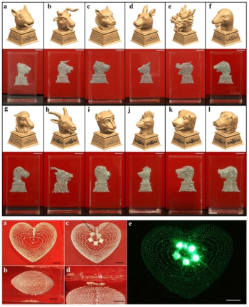 理化所提出液態(tài)金屬懸浮3D打印方法