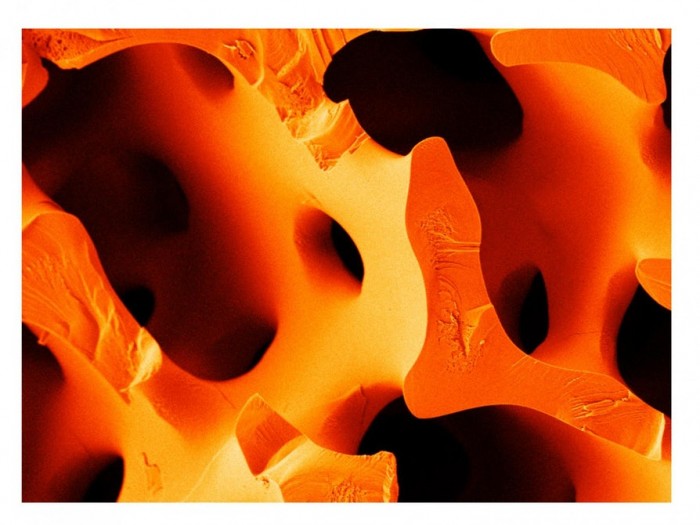 科學家借海膽刺（方解石結(jié)構）靈感，研發(fā)出抗斷裂能力接近鋼的水泥