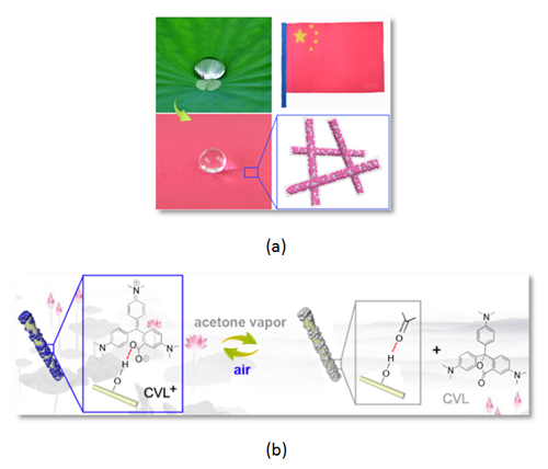 中科院蘭州化物所基于硅烷和硅酸鹽黏土礦物的特殊潤濕性材料研究獲進展