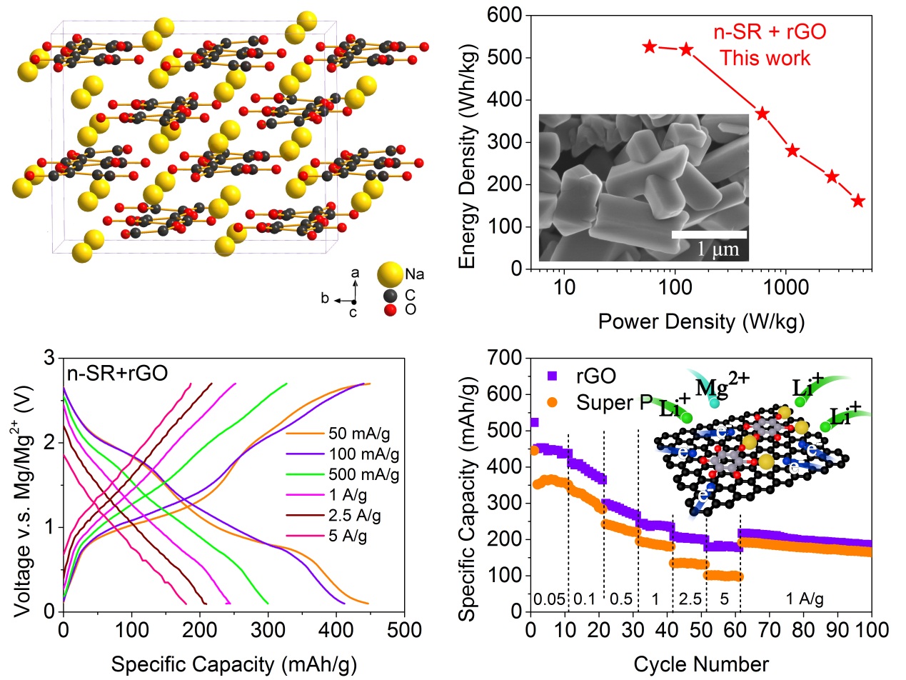 鋰鎂雙鹽電解質(zhì)激活、基于納米結(jié)構(gòu)玫瑰紅酸鹽的大容量有機(jī)鎂電池 