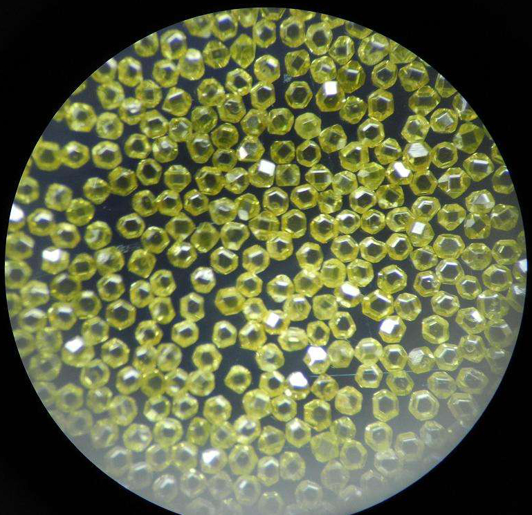 大會(huì)報(bào)告 