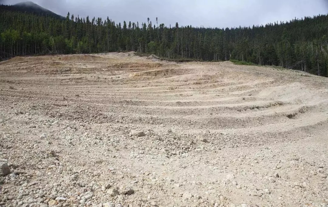 大會(huì)報(bào)告 