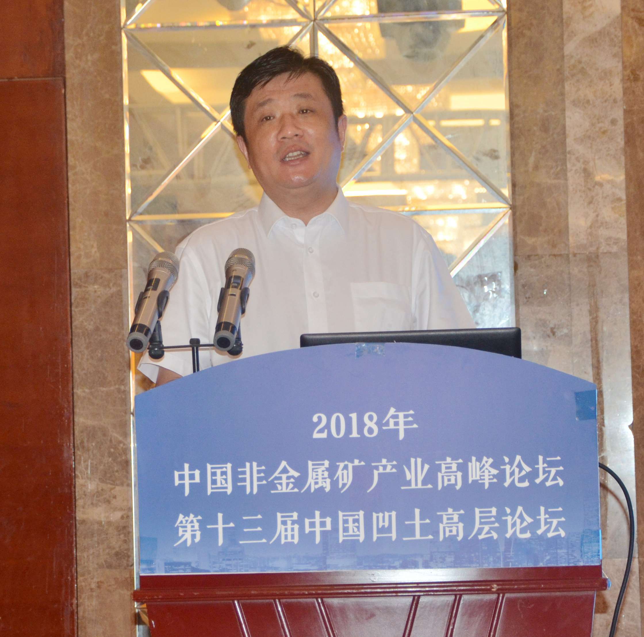 非金屬礦 高峰論壇 凹土 江蘇盱眙