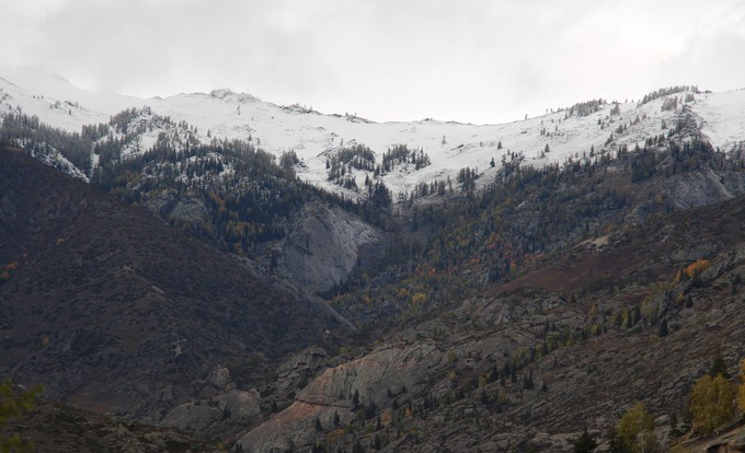 阿爾泰 新疆 石英 尤尼明