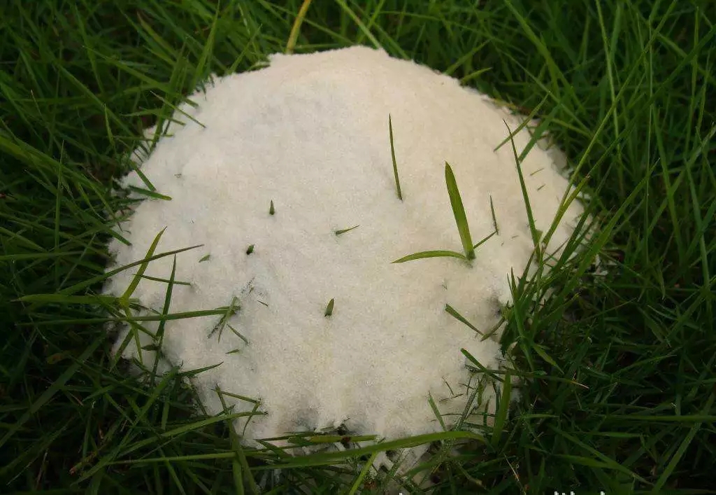 保水劑 高嶺土 膨潤土 粘土