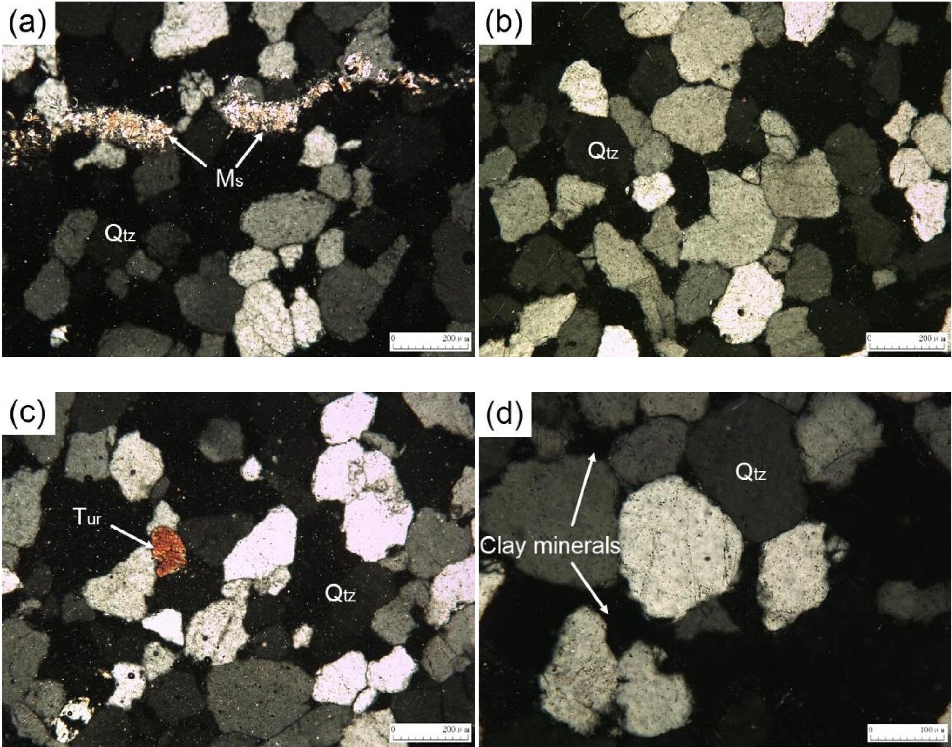 非金屬礦 礦物學(xué) 分析
