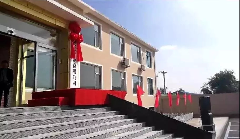 菱鎂礦 遼寧 計(jì)劃經(jīng)濟(jì) 