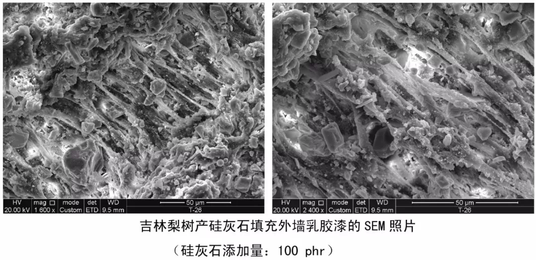 高嶺土 云母 硫酸鋇 乳膠漆