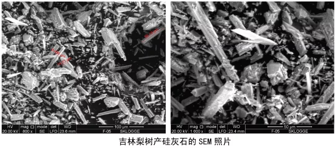 硫酸鋇 硅灰石 伊利石 防水涂料