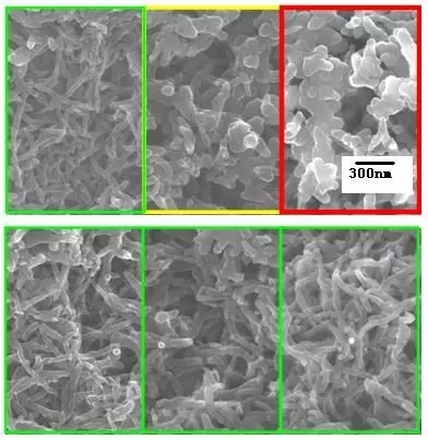 毋偉教授 石墨烯
