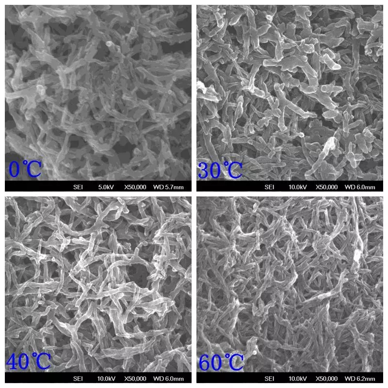 毋偉教授 石墨烯