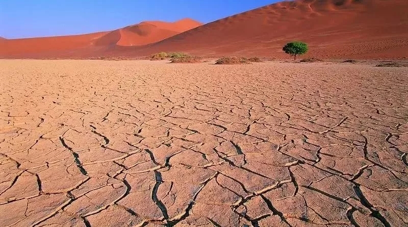 肥料 礦物 土壤調(diào)理劑 發(fā)展新機遇