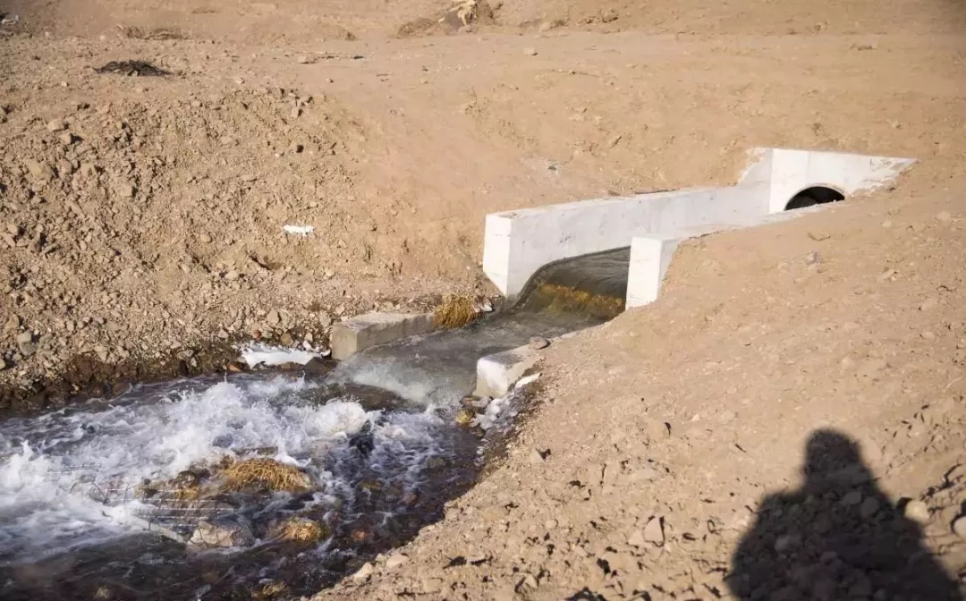 海泡石 有機(jī)污染物治理